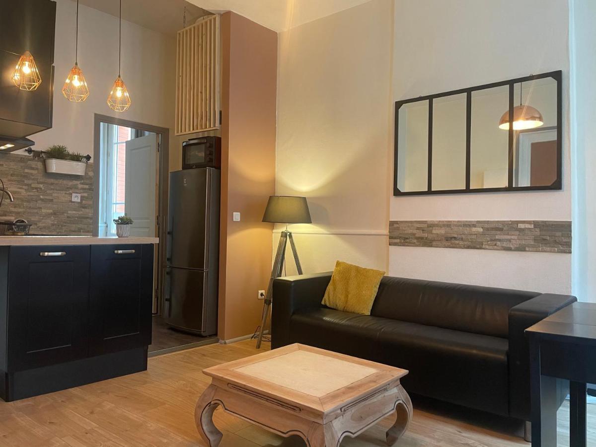 Appartement Cosy En Hyper Centre تولوز المظهر الخارجي الصورة