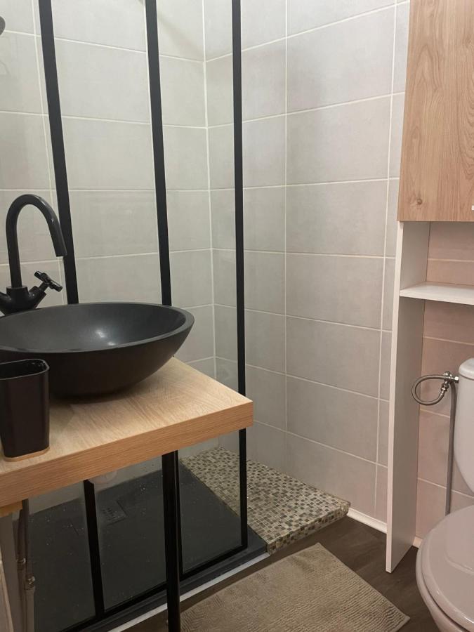 Appartement Cosy En Hyper Centre تولوز المظهر الخارجي الصورة